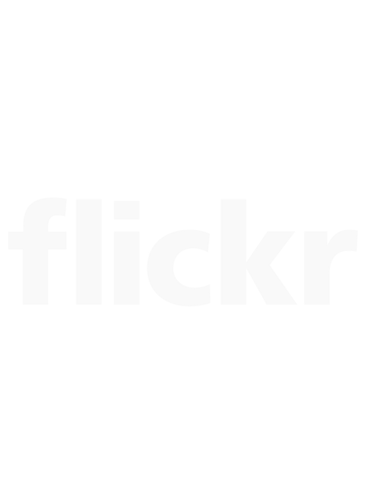 Flickr Neon Sign