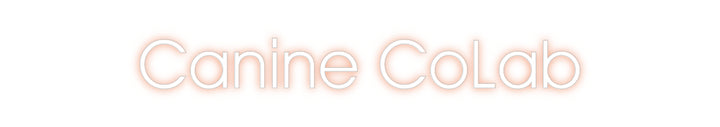 Customized Neon Sign: Canine CoLab